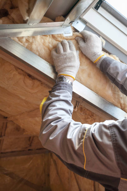 Best Insulation Maintenance and Repair in Caledonia, MI
