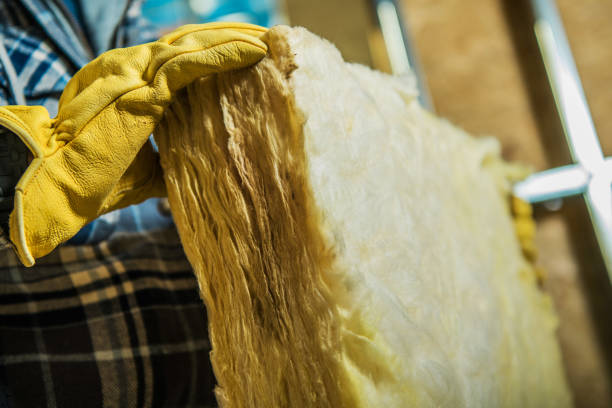Best Eco-Friendly Insulation in Caledonia, MI