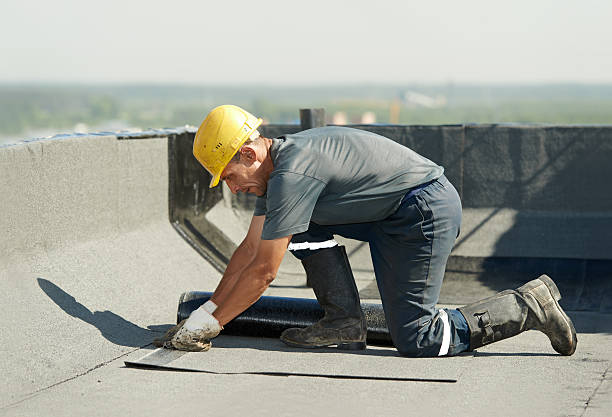 Best Geographic-Specific Insulation Services in Caledonia, MI