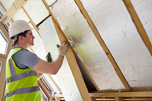 Best Cellulose Insulation in Caledonia, MI