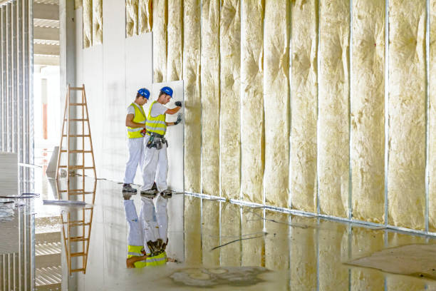 Best Insulation for Specific Applications in Caledonia, MI